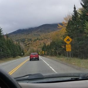 Meet your Posher, Austin